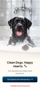 Dog bathing onboarding