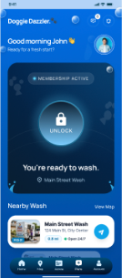 Doggie Dazzler membership dashboard
